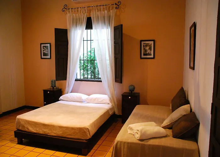 Hotel Del Parque